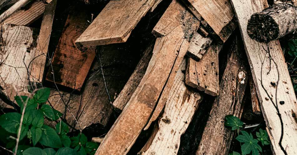 bois de chauffage abimé