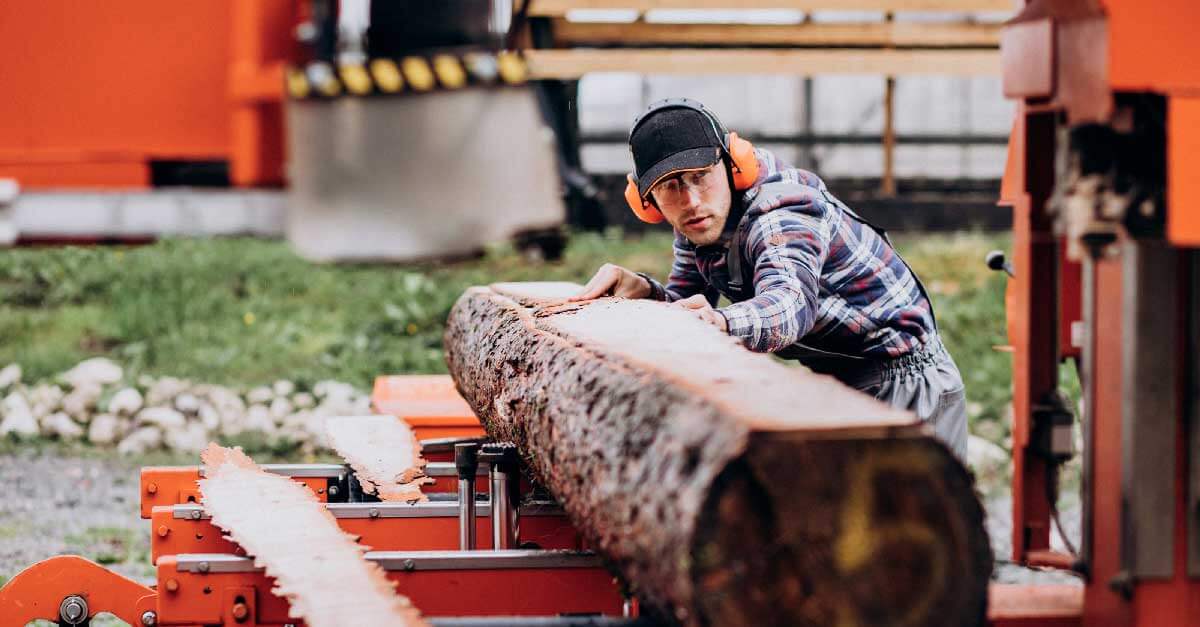 métier du bois charpentier