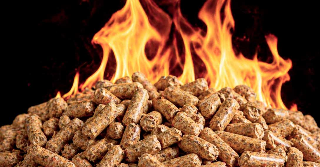 granulés de ramonage