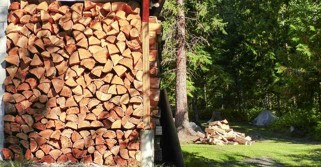 Bois étuvé ou bois séché naturellement : que choisir ?
