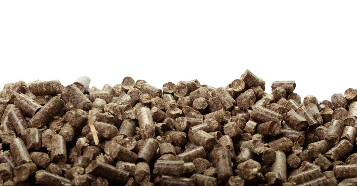 green pellets alternative écologique aux énergies fossiles