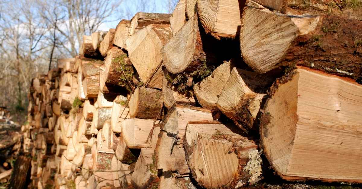 Savoir si doit dire un ou stère de bois.