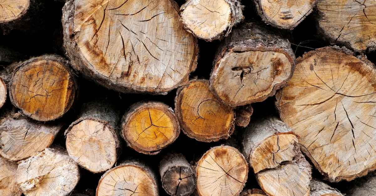 La corde de bois est une unité de mesure qui était utilisée avant les stères.
